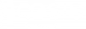 Noesis Brand+Digital